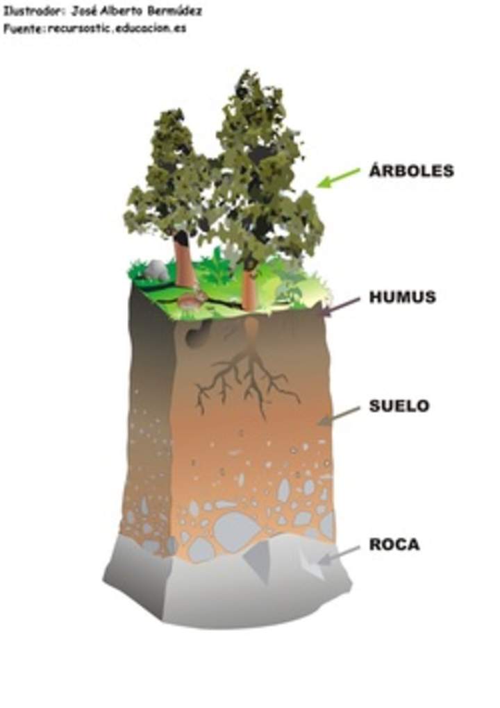 Estructura de suelo rotulado