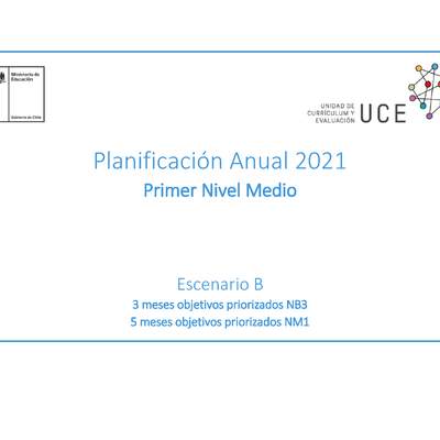 Planificación Anual 2021 Primer Nivel Medio EPJA - PDF