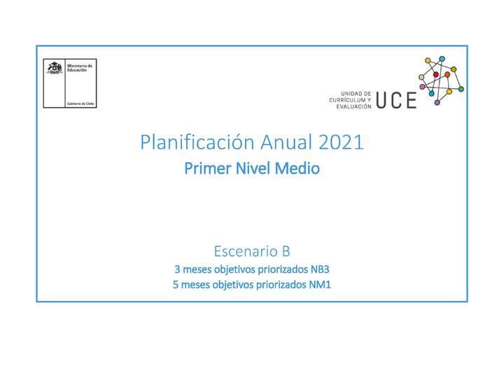 Planificación Anual 2021 Primer Nivel Medio EPJA - PDF