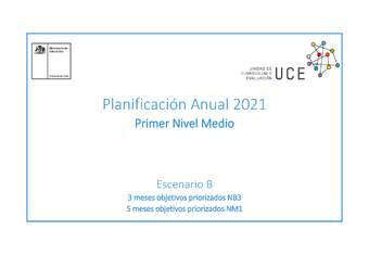 Planificación Anual 2021 Primer Nivel Medio EPJA - PDF