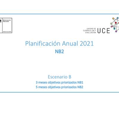 Planificación Anual 2021 Primer Nivel Básico 2 EPJA - PDF