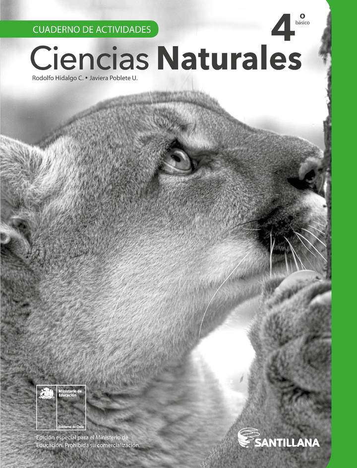 Ciencias Naturales 4° Básico, Cuaderno de actividades - Fragmento de muestra