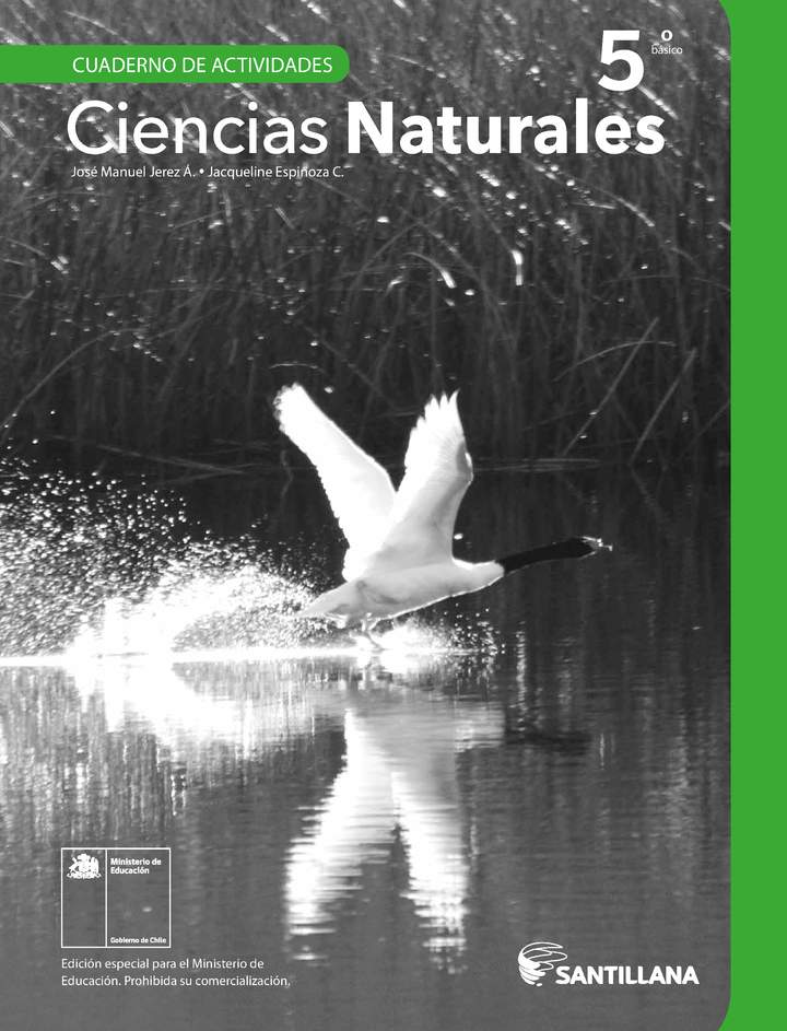 Ciencias Naturales 5° Básico, Cuaderno de actividades - Fragmento de muestra