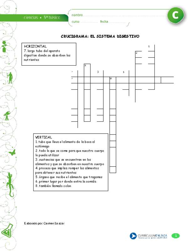 Crucigrama la digestión