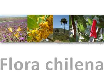 Flora chilena