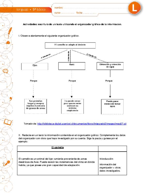 Escritura de un texto utilizando el organizador gráfico de la información