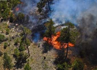 Incendio forestal