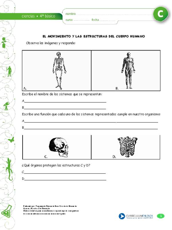 El movimiento y los sistemas del cuerpo