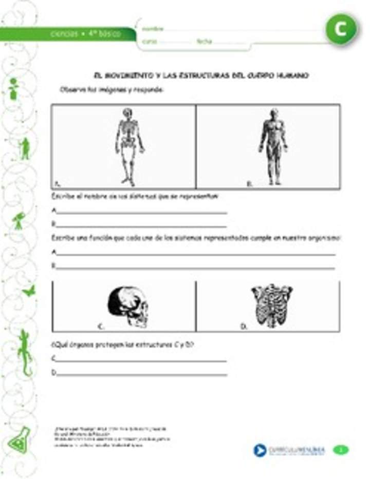 El movimiento y los sistemas del cuerpo