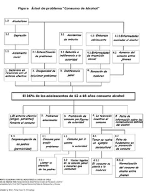 Mapa conceptual de problemas asociados con el alcohol elaborado por el ministerio de salud de chile