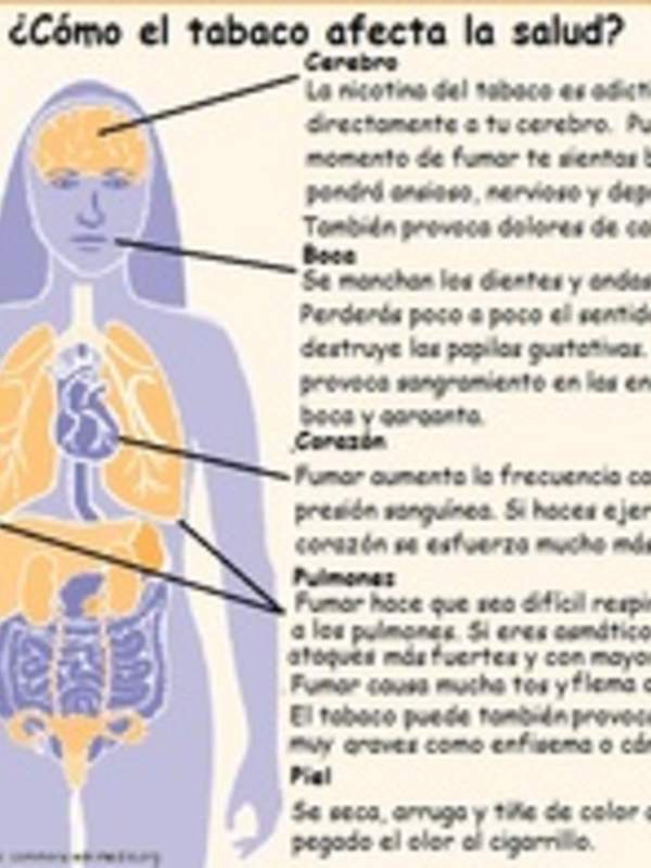 Infografía sobre como el tabaco afecta la salud