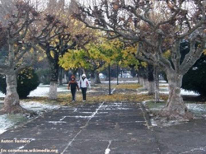 Nieve en Curacautín