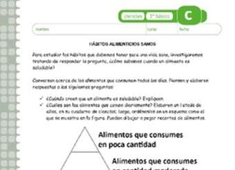 Hábitos alimenticios sanos