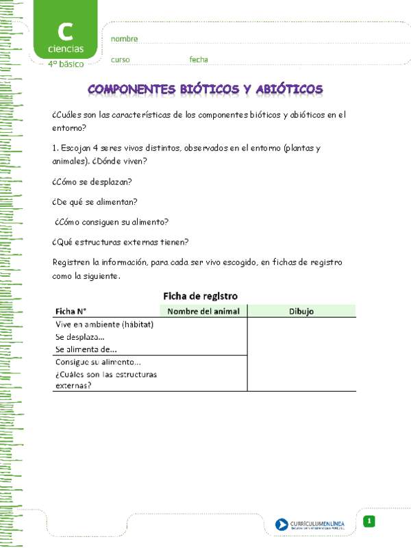 Componentes bióticos y abióticos en un ecosistema