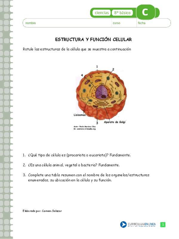 Estructura y función celular