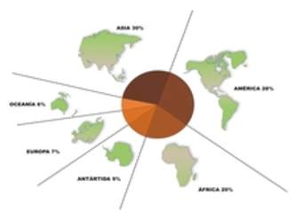 Continentes del mundo