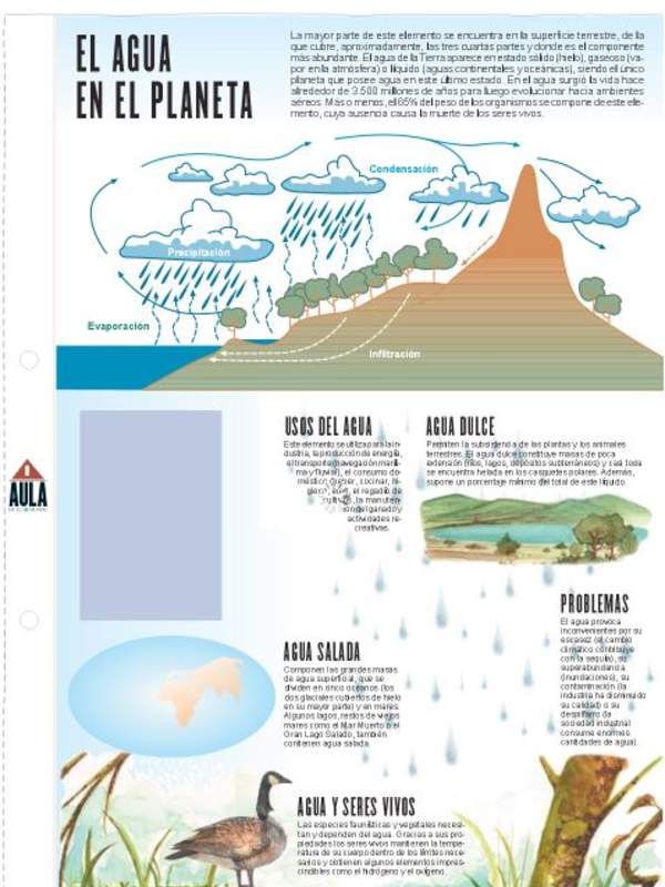 El agua en el planeta