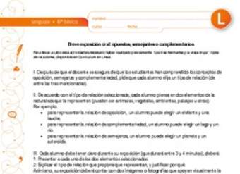 Breve exposición oral: opuestos, semejantes o complementarios