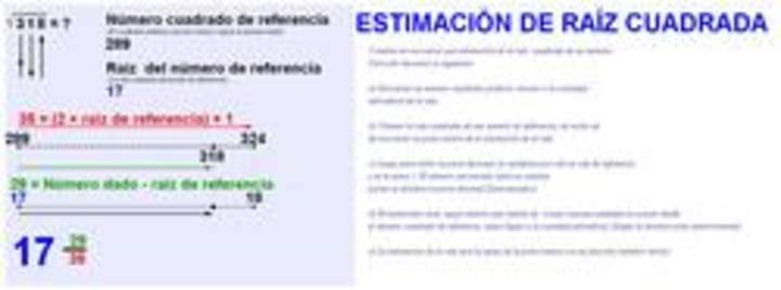 Estimación de raíces