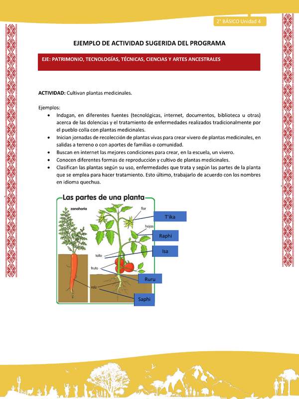 Actividad sugerida: LC02 - Colla - U4 - N°4: Cultivan plantas medicinales.