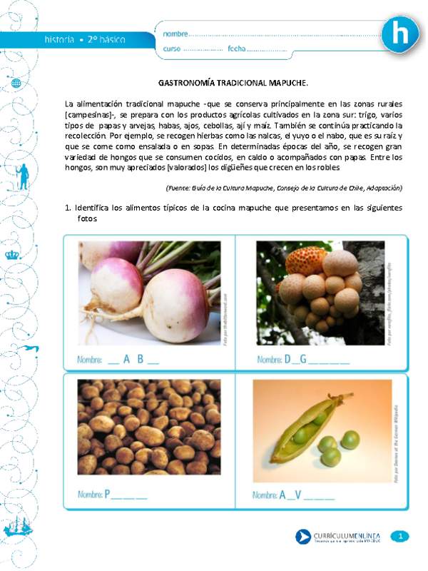 Gastronomía Tradicional mapuche