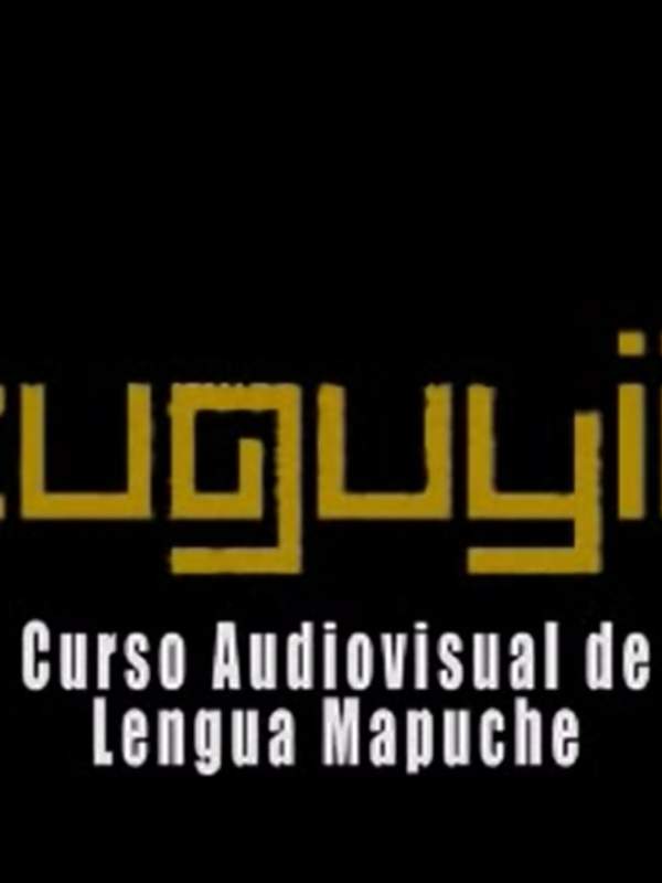 Video de actividad sugerida: LC01 - Mapuche - U1 - N°6: REPRESENTAN UN CHALIWÜN APLICANDO EL MAPUCHE AZ CHALIWÜN.