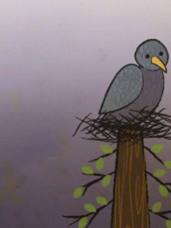 Letra n: El nido y la paloma