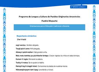Orientaciones al docente - LC02 - Mapuche - U2 - Repertorio sintáctico