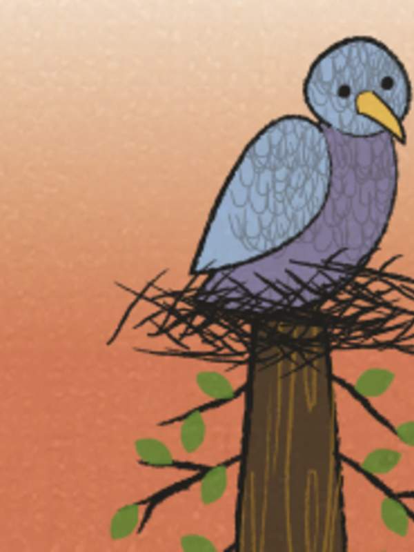 Letra c: El nido de la paloma