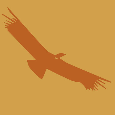 Pueblo Aymara 3° básico - Unidad 3