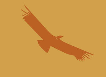 Pueblo Aymara 3° básico - Unidad 4