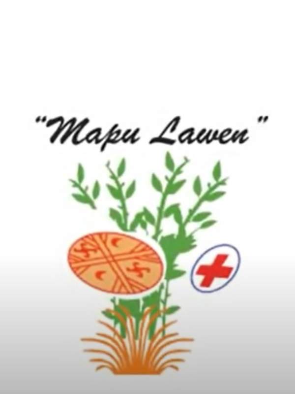 Video de actividad sugerida - LC03 – Mapuche – U3.1: INDAGAN ACERCA DE ALIMENTOS PROPIOS DE SU TERRITORIO.
