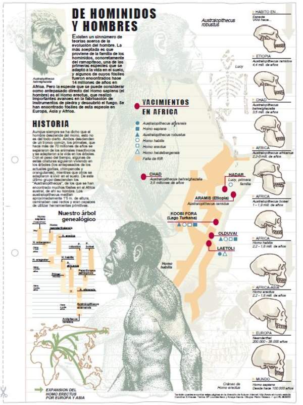 Historia de homínidos y hombres