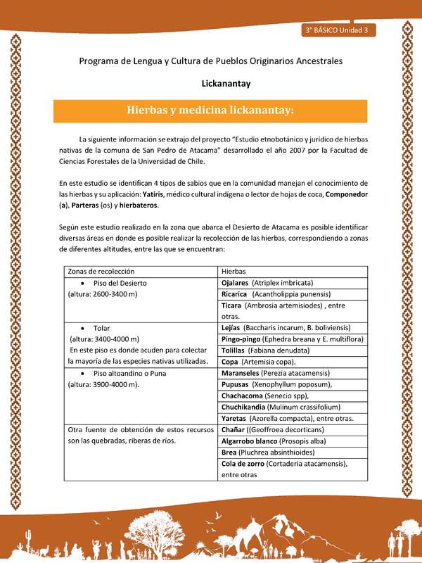 Hierbas y medicina lickanantay