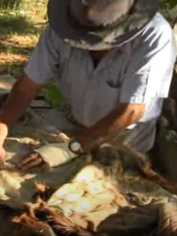 Video de actividad sugerida - LC03 – Lickanantay – U2.1: Experimentan diversas técnicas ancestrales