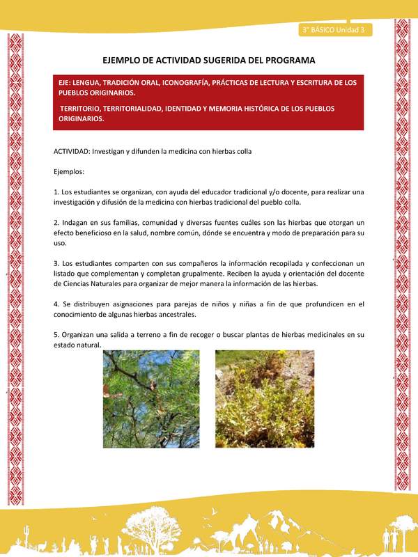 02-Actividad Sugerida LC03 COL-U03-LS03;LS05;OA07-Investigan y difunden la medicina con hierbas colla