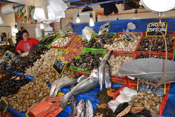 Caleta con pescado a la venta