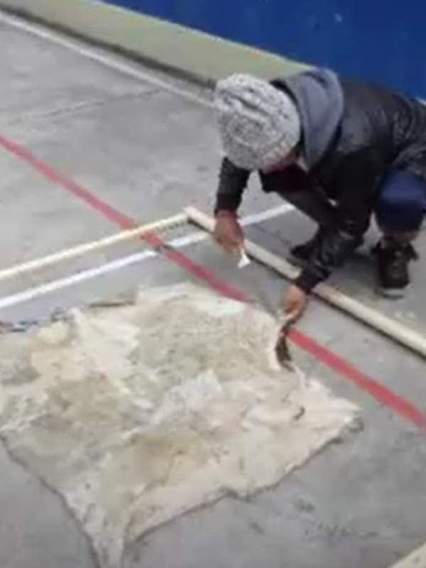 Video de actividad sugerida - LC03 – Colla – U2: Confeccionan pulseras con materiales derivados de la actividad productiva colla