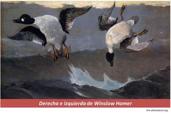 Derecha e izquierda de Winslow Homer