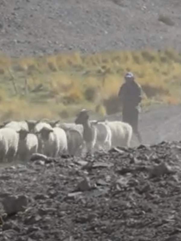 Video de actividad sugerida - LC03 – Colla – U1 : Investigan sobre la historia del pueblo colla