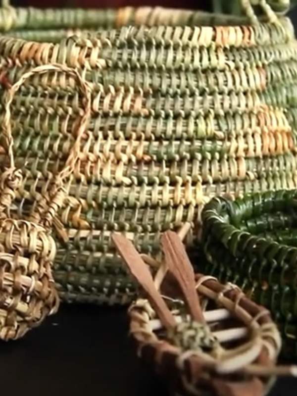 Video de Actividad sugerida: LC03 - Yagán: Realizan exposiciones acerca de actividades productivas ancestrales incorporando algunas palabras en lengua yagán.
