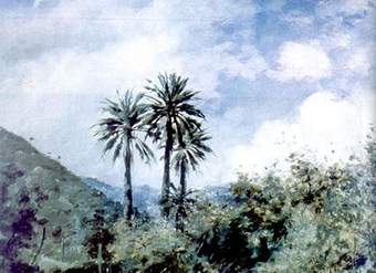 Palmas de Ocoa de Onofre Jarpa