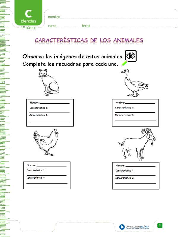 Características de los animales