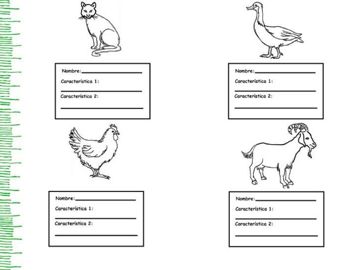 Características de los animales