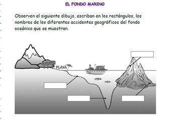 El fondo marino