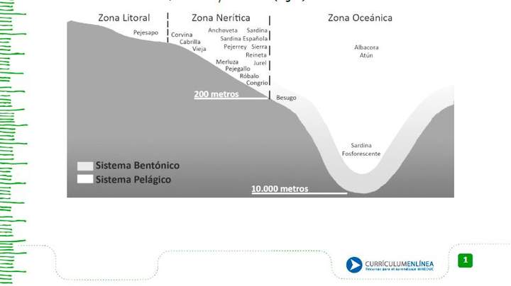 Extracción de recursos marinos