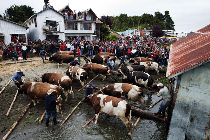 Minga en Quemchi