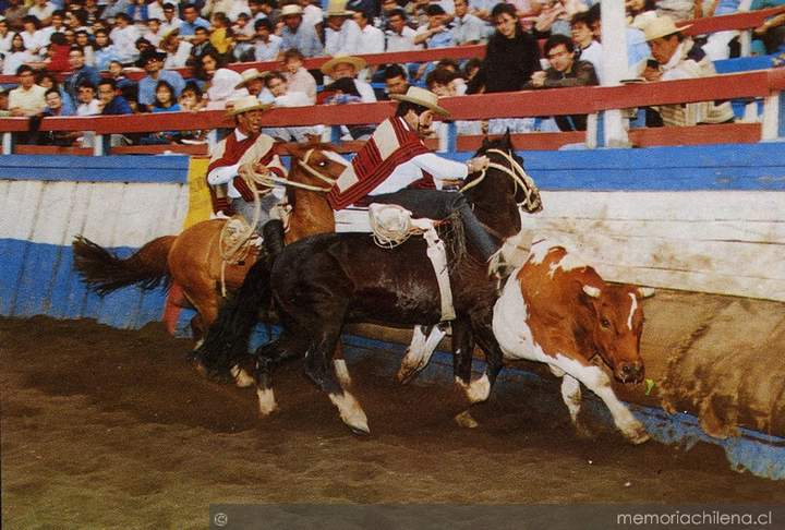 Fiesta del rodeo