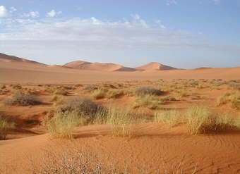 Desierto del Sahara