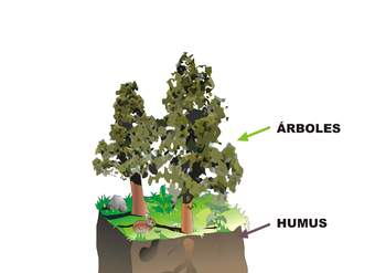 Estructura del suelo sin rotular